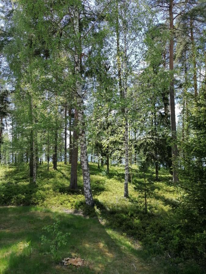 Bed & Breakfast Birgittagarden - Gaesthem - Birgittasystrarna *