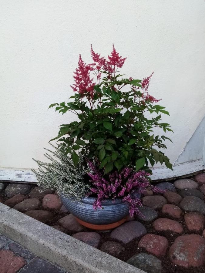 Birgittagarden - Gaesthem - Birgittasystrarna Falun